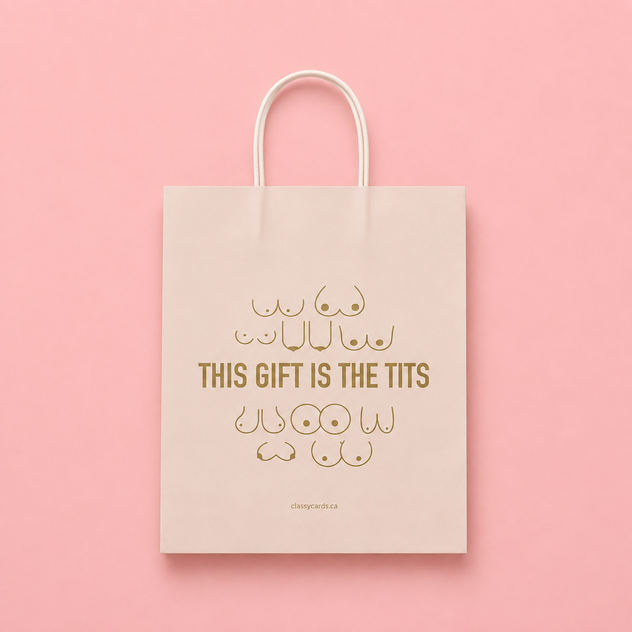 Cream gift bag with line drawn boobs and the words THIS GIFT IS THE TITS
